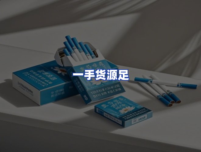 专业团队